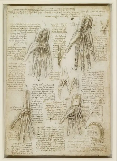 Royal Collection Trust The bones, muscles and tendons of the hand by da Vinci