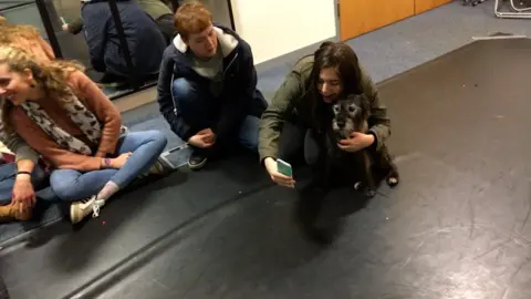 A student taking a selfie with one of the dogs