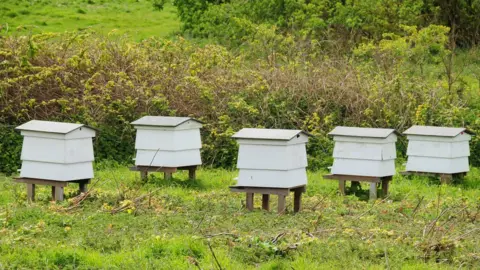 Getty Images Hives