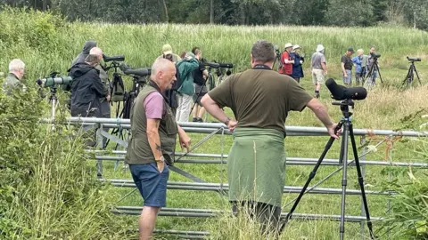 Stephen Huntley/BBC Birdwatchers in Norfolk