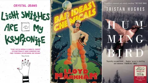 Literature Wales Book covers for the English language fiction shortlist