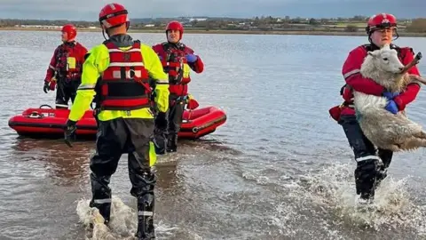 A firefighter is carrying a sheep out of the flooded field while other firefighters are on the water in an inflatable raft