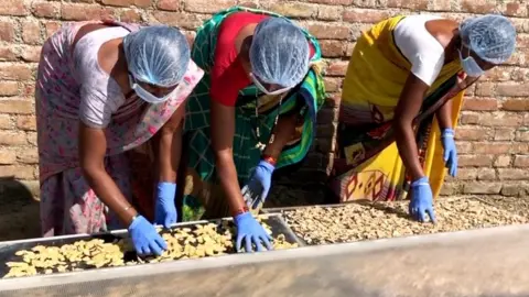 Three women using a solar dryer