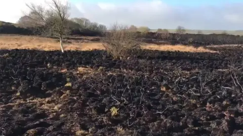 Dorset Wildlife Trust Heath fire aftermath
