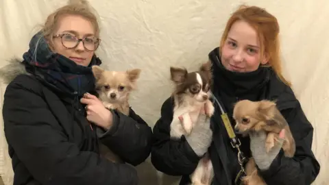 Emma Healey Staff with three chihuahaus