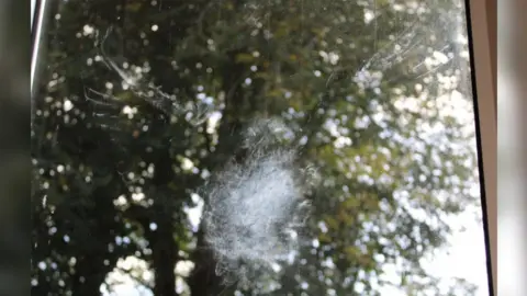 Owl marking on the window