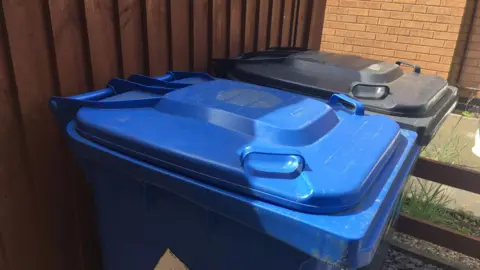 An image of the top of two wheelie bins