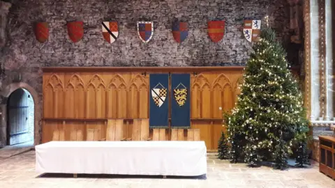 Cadw The tree at Caerphilly Castle