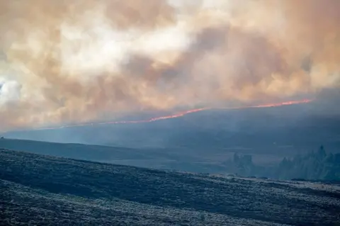 JASPERIMAGE Moray wildfire