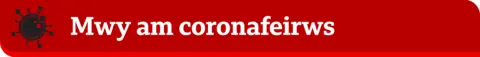 Mwy am coronafeirws