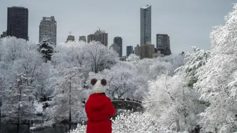 EPA A person in a red coat and white wool hat with brown bobbles looks out over snow covered trees in New York's Central Park