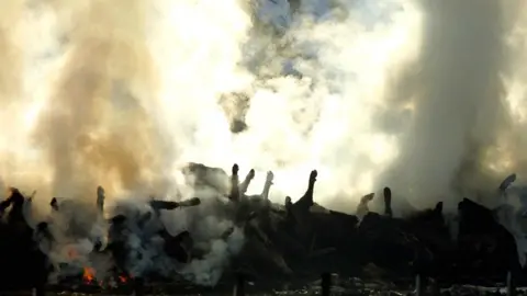 Getty Images burning cow carcasses