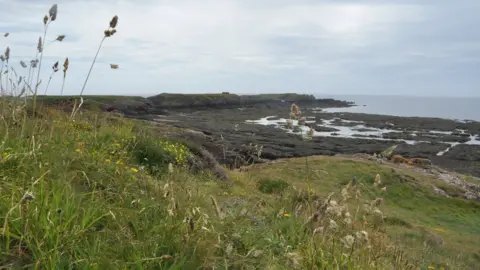 Sophie Costain Langness peninsula, Isle of Man