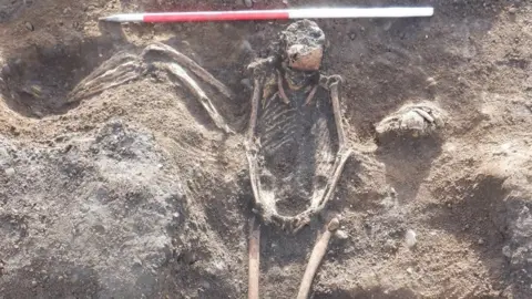Gahan and Long Archaeological Services A skeleton
