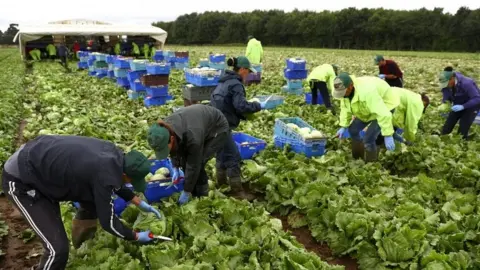 Reuters Migrant workers in Kent