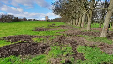 Freemen of Newcastle Dug up ground