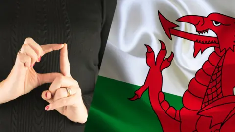 Getty Images A letter D in sign language and the Welsh flag