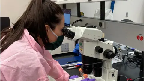 University of Exeter Scientists with the worms