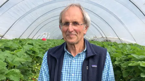 Richard Daniel/BBC Andrew Sturgeon in a polytunnel