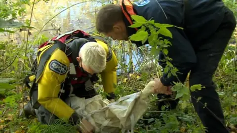 BBC A swan being rescued by the RSPCA