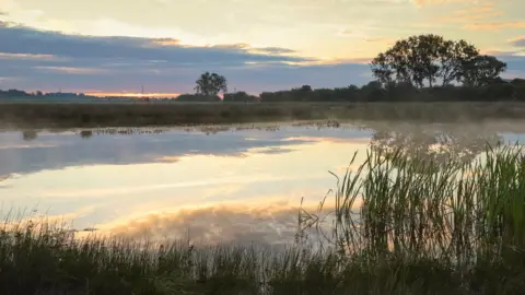 National Trust Wicken Fen