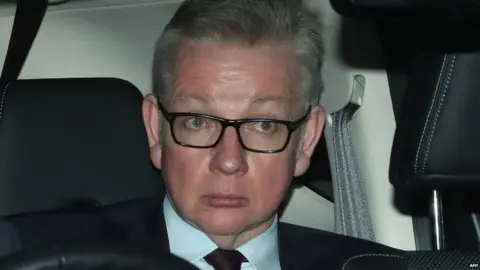 AFP Michael Gove