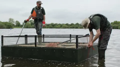 Nottinghamshire Wildlife Trust Workmen building a platform on a lake