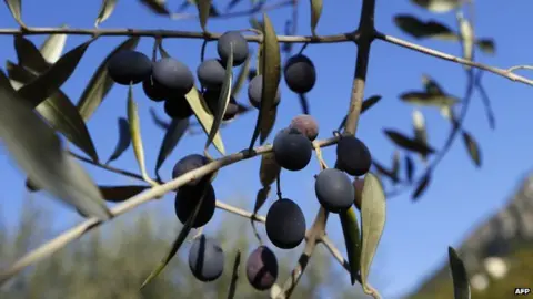 AFP Olives - file pic