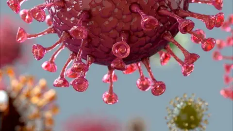 Getty Images Plastic models of Covid virus