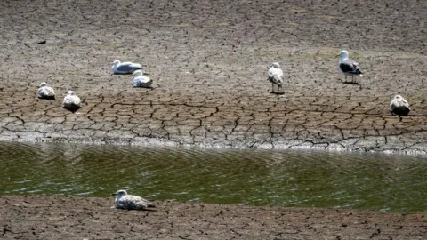 Getty Images Pembrokeshire water level low