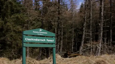 Wildcat Haven Forest sign