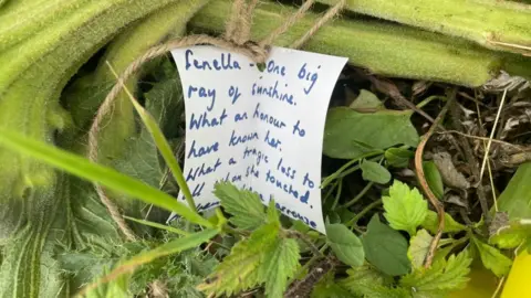 Andrew Turner/BBC Floral tributes left on the roadside at Stalham