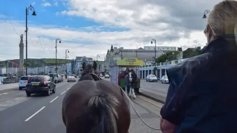 MANX SCENES Two horse-trams approaching each other with cars on either side as near the war memorial.