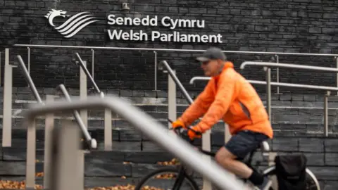 Getty Images Senedd