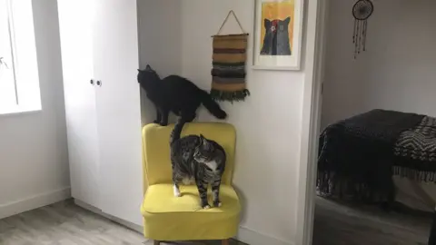 Kier Osborne Inside a passivhaus flat