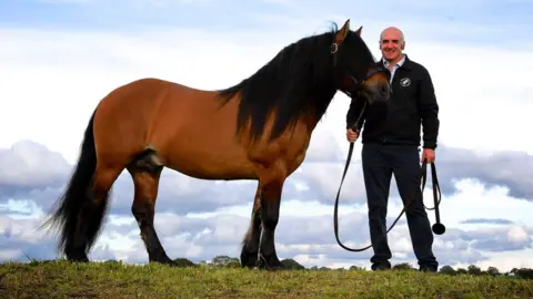 NAture's Safe Tullis Matson and a highland pony