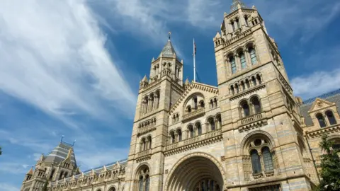 stevenallan/Getty Images Natural History Museum