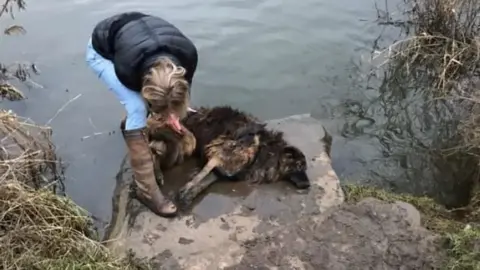 Jane Harper rescuing dog Bella