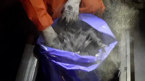 BBC Tube fluffers shake dust bag Underground