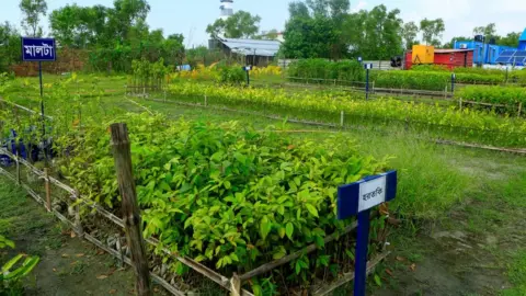 The navy show journalists around the edible garden