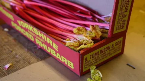 Oli Scarff Yorkshire forced rhubarb