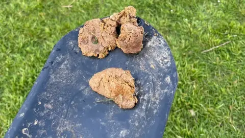 Caerau Ely RFC The dog poo that Norman Rees picked up at Caerau Ely