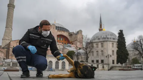 OZAN KOSE/AFP/Getty Images Istanbul city employee caring for stray dog 2020