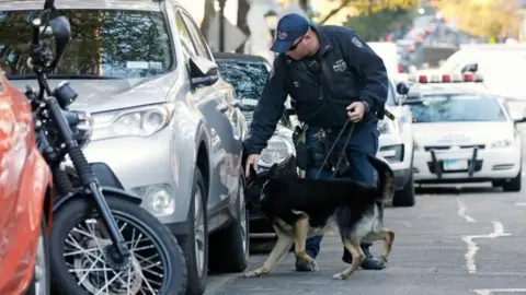 Reuters A police dog checks out vehicles at the scene of the incident