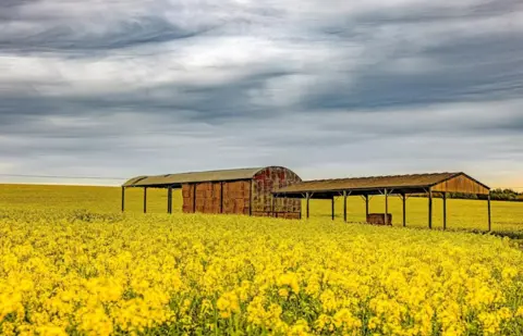 shazzhooperphotographer WEDNESDAY - Dorset