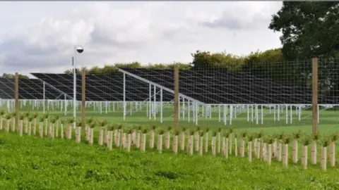 LDRS An artist's impression of the field with solar panels.