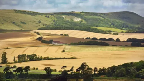 BBC/Jeff Overs South Downs National Park