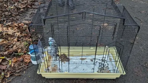 RSPCA Budgies in their cage in Sefton Park