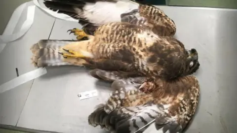 North Yorkshire Police  Buzzard