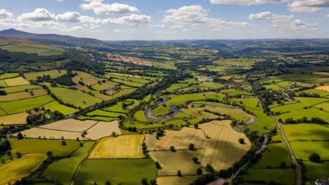 Getty Images Fields in Wales